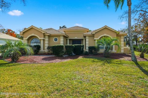 Homes For Sale - 14260 Pullman Drive<br/> Hernando County, Spring Hill, FL 34609