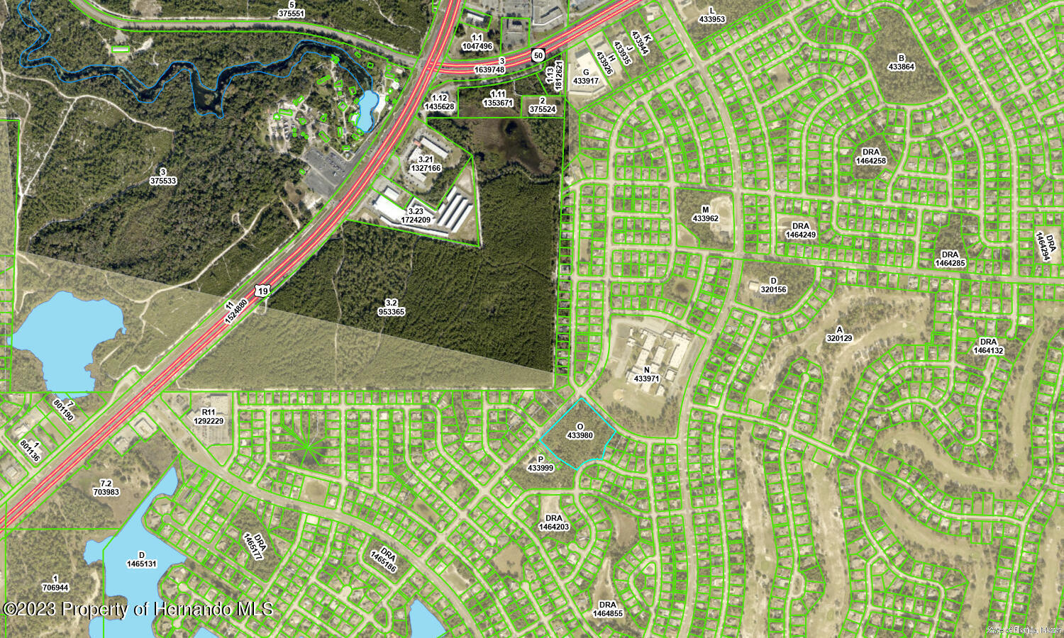 Freeport Drive, Spring Hill, Florida image 5