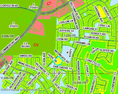 Freeport Drive, Spring Hill, Florida image 7