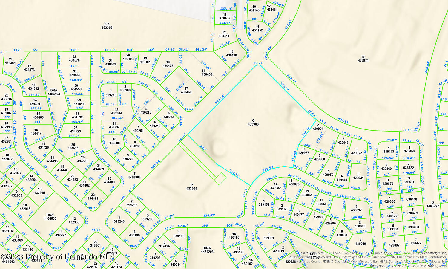 Freeport Drive, Spring Hill, Florida image 6