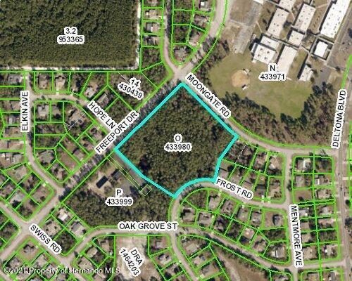Freeport Drive, Spring Hill, Florida image 2