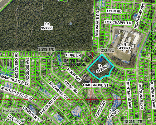Freeport Drive, Spring Hill, Florida image 9