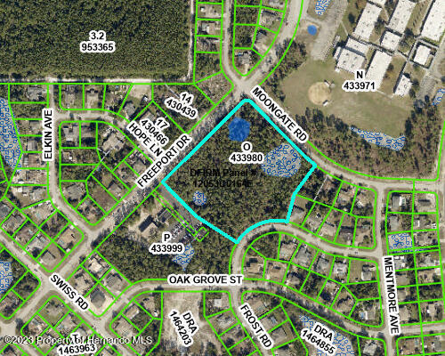 Freeport Drive, Spring Hill, Florida image 8
