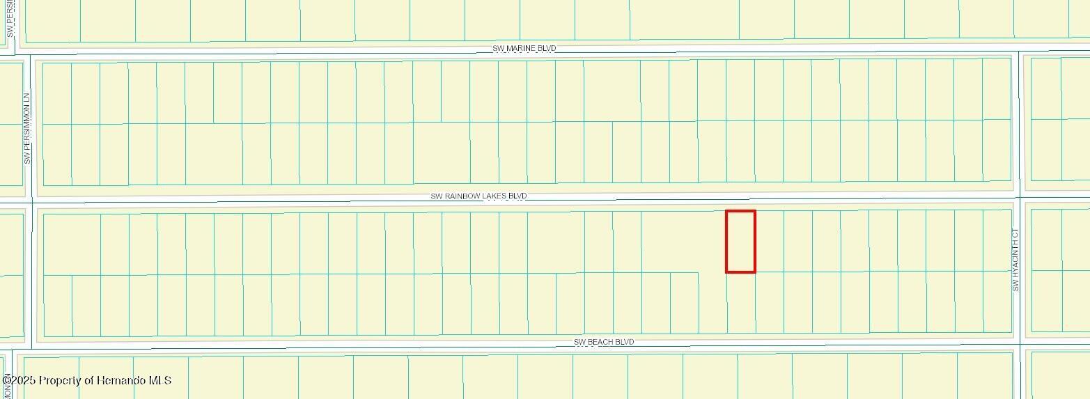 384747 SW Sw Rainbow Lakes Boulevard, Dunnellon, Florida image 2