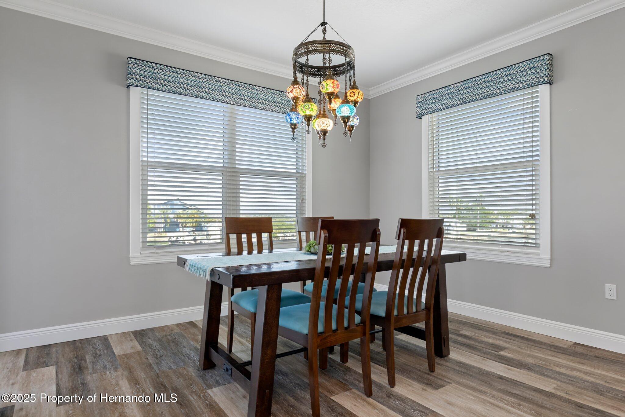 3371 Mangrove Drive, HERNANDO BEACH, Florida image 20