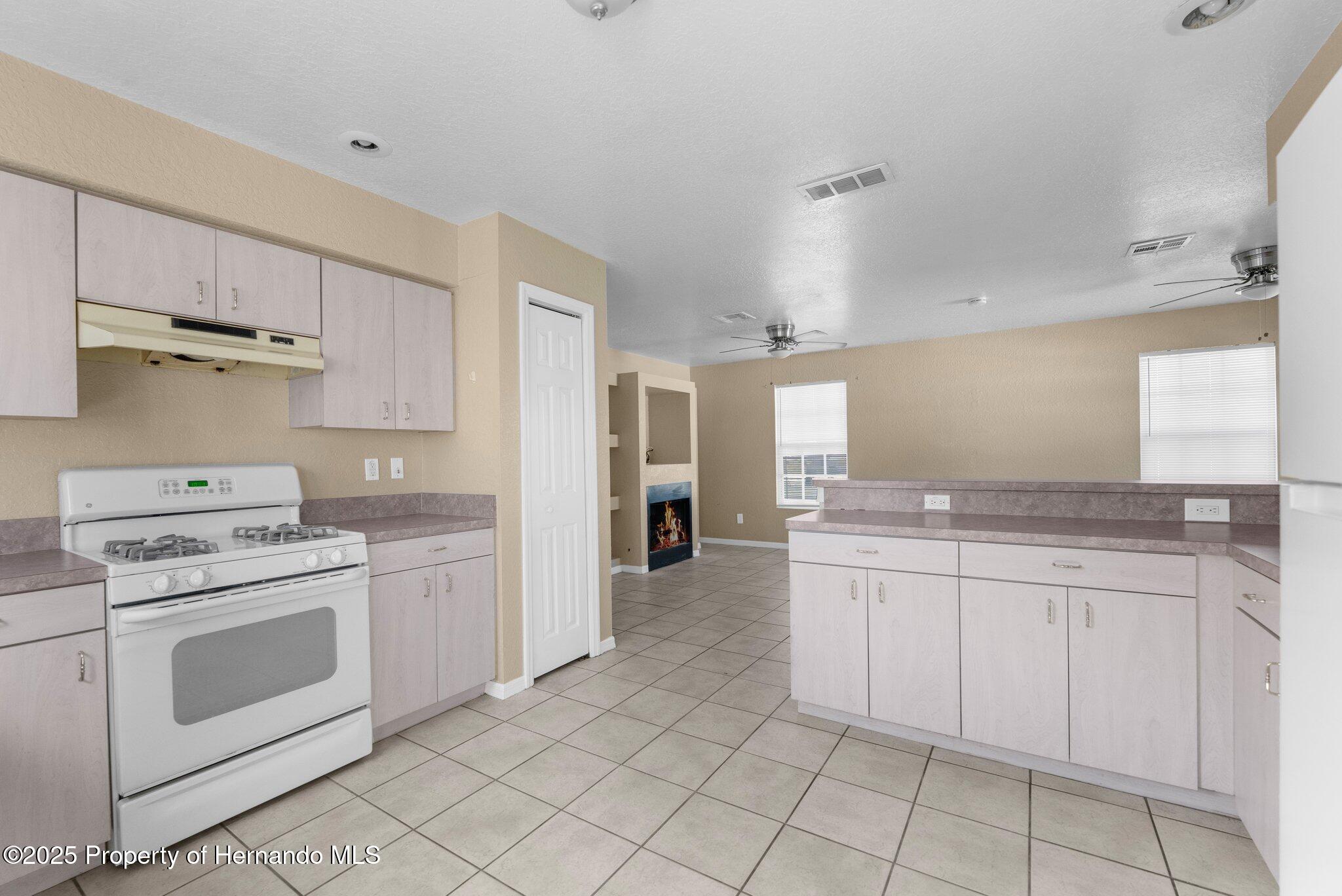 11780 Linden Drive, Spring Hill, Florida image 8