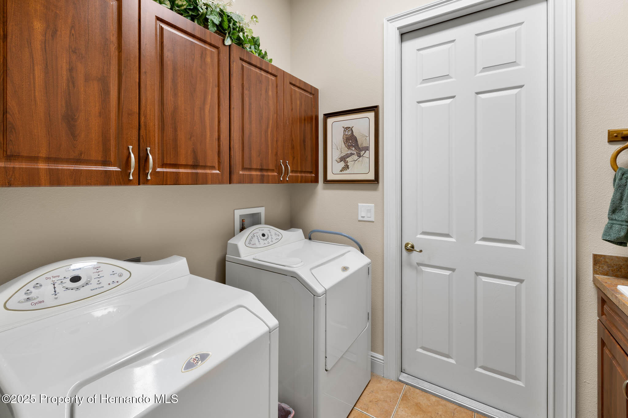 8308 Mobile Circle, Weeki Wachee, Florida image 28