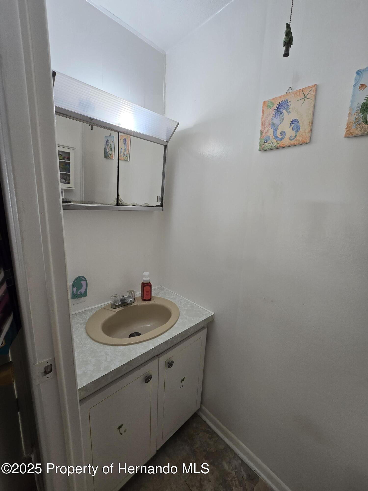 7366 First Loop Avenue, Brooksville, Florida image 25
