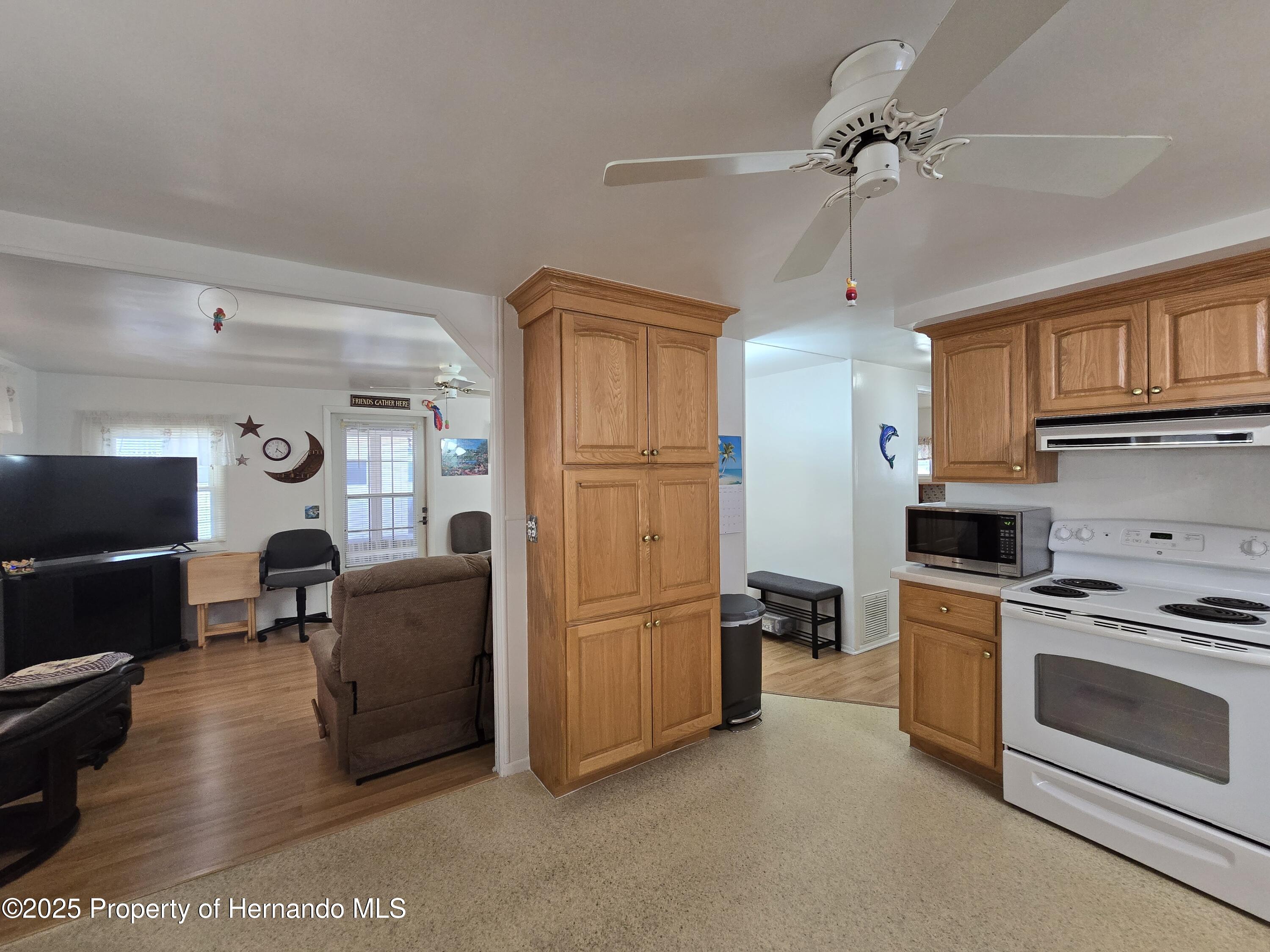 7366 First Loop Avenue, Brooksville, Florida image 13