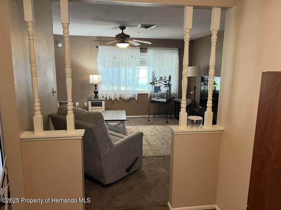 12801 Winding Way, Hudson, Florida image 13