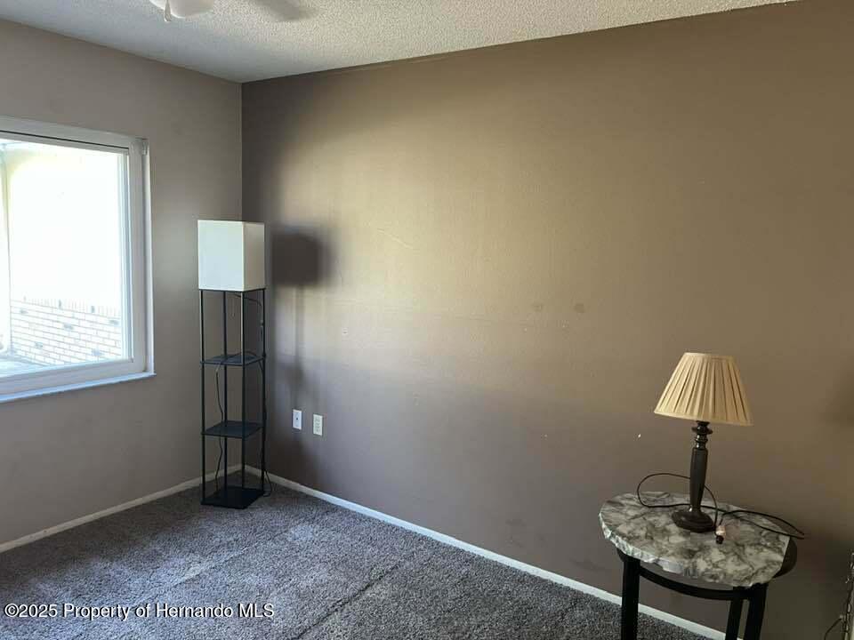 12801 Winding Way, Hudson, Florida image 18