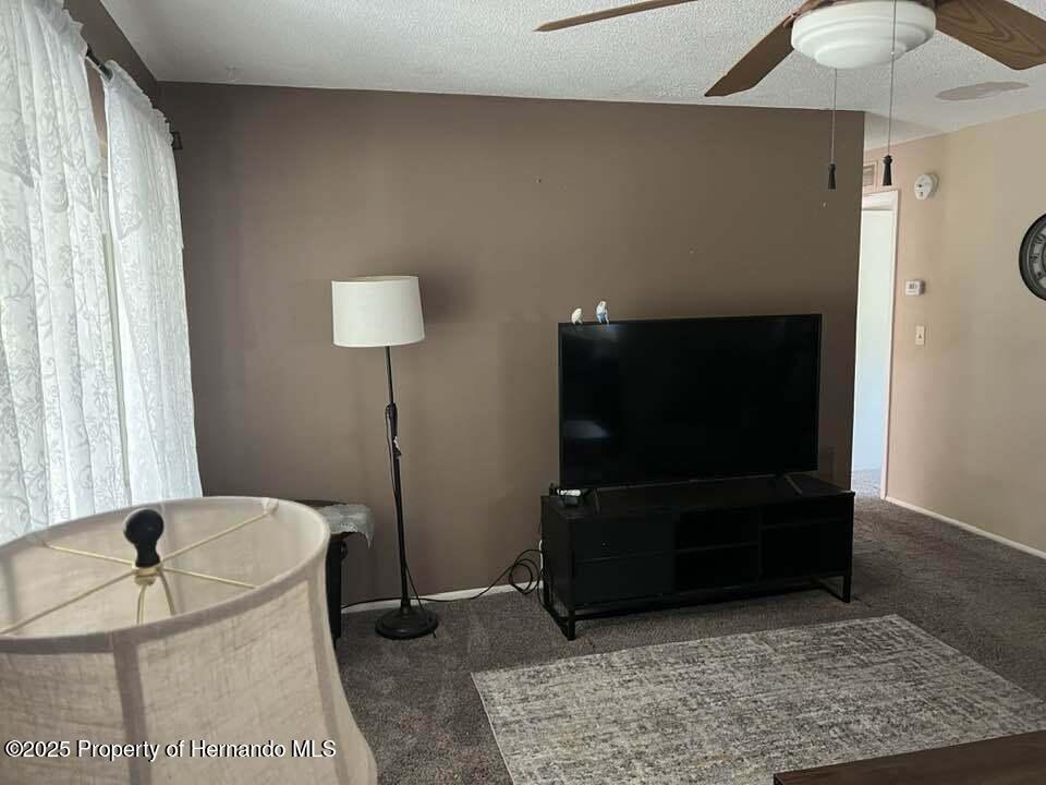 12801 Winding Way, Hudson, Florida image 15