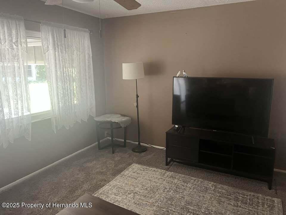 12801 Winding Way, Hudson, Florida image 20