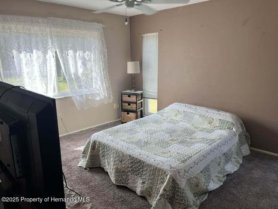 12801 Winding Way, Hudson, Florida image 22