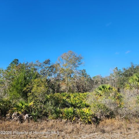 Vacant Land For Sale - Quiet Road<br/> Weeki Wachee, FL 34614