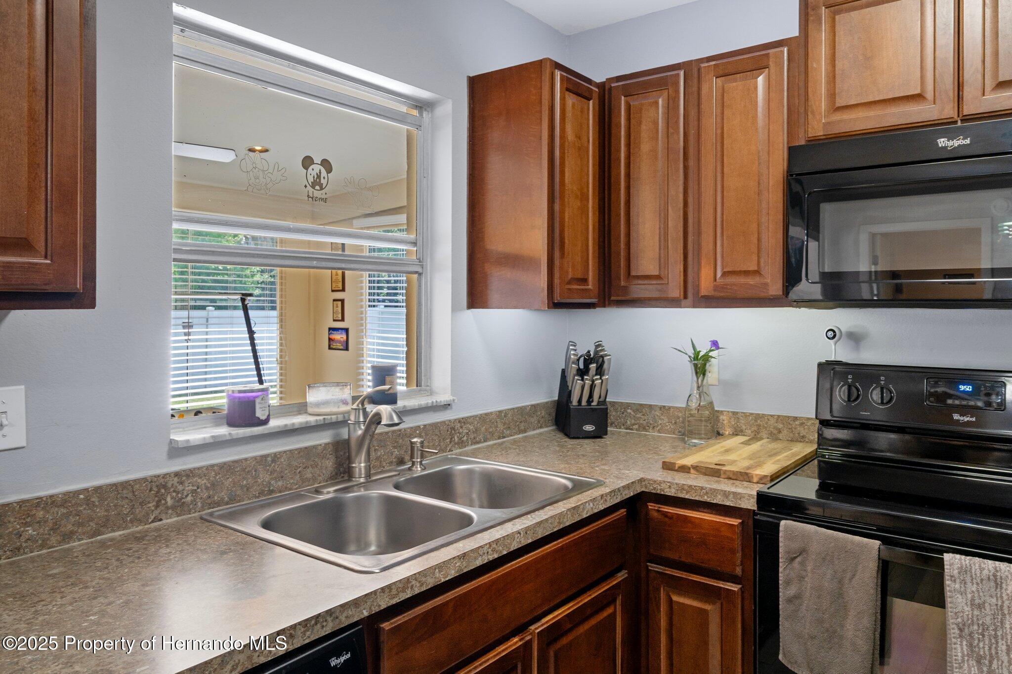 13923 Pathfinder Drive, Tampa, Florida image 21