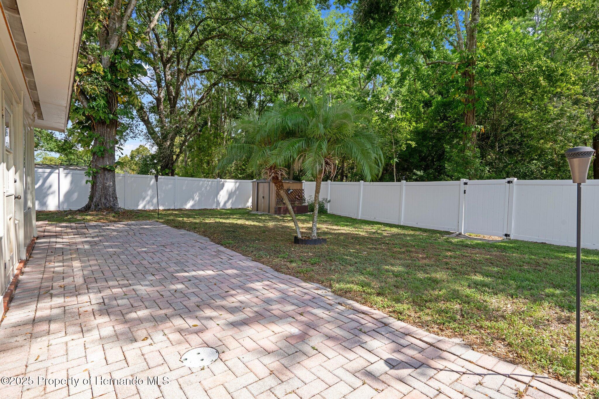 13923 Pathfinder Drive, Tampa, Florida image 9
