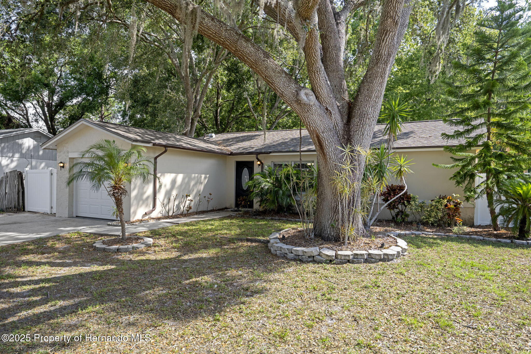 13923 Pathfinder Drive, Tampa, Florida image 13