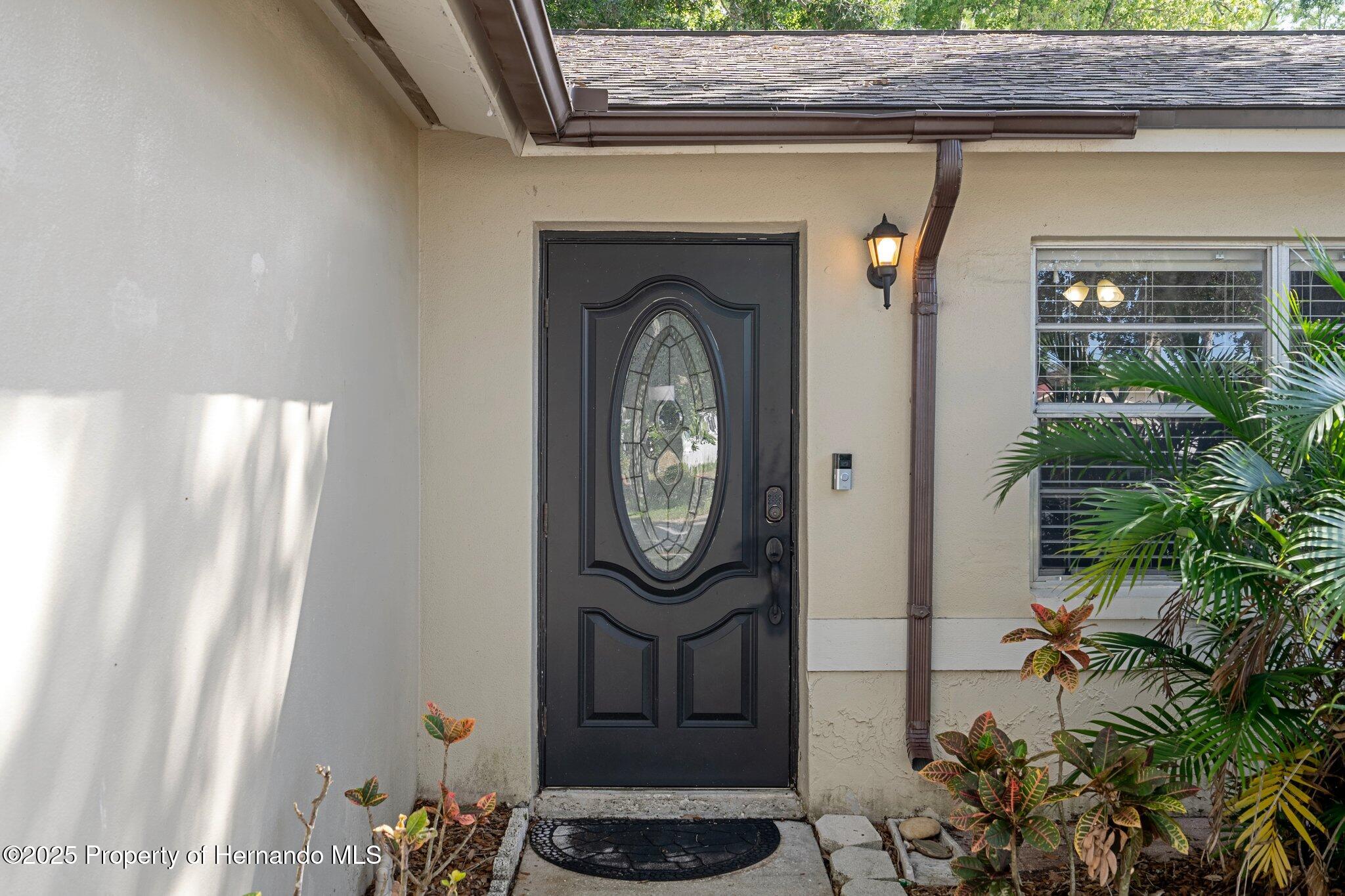 13923 Pathfinder Drive, Tampa, Florida image 14