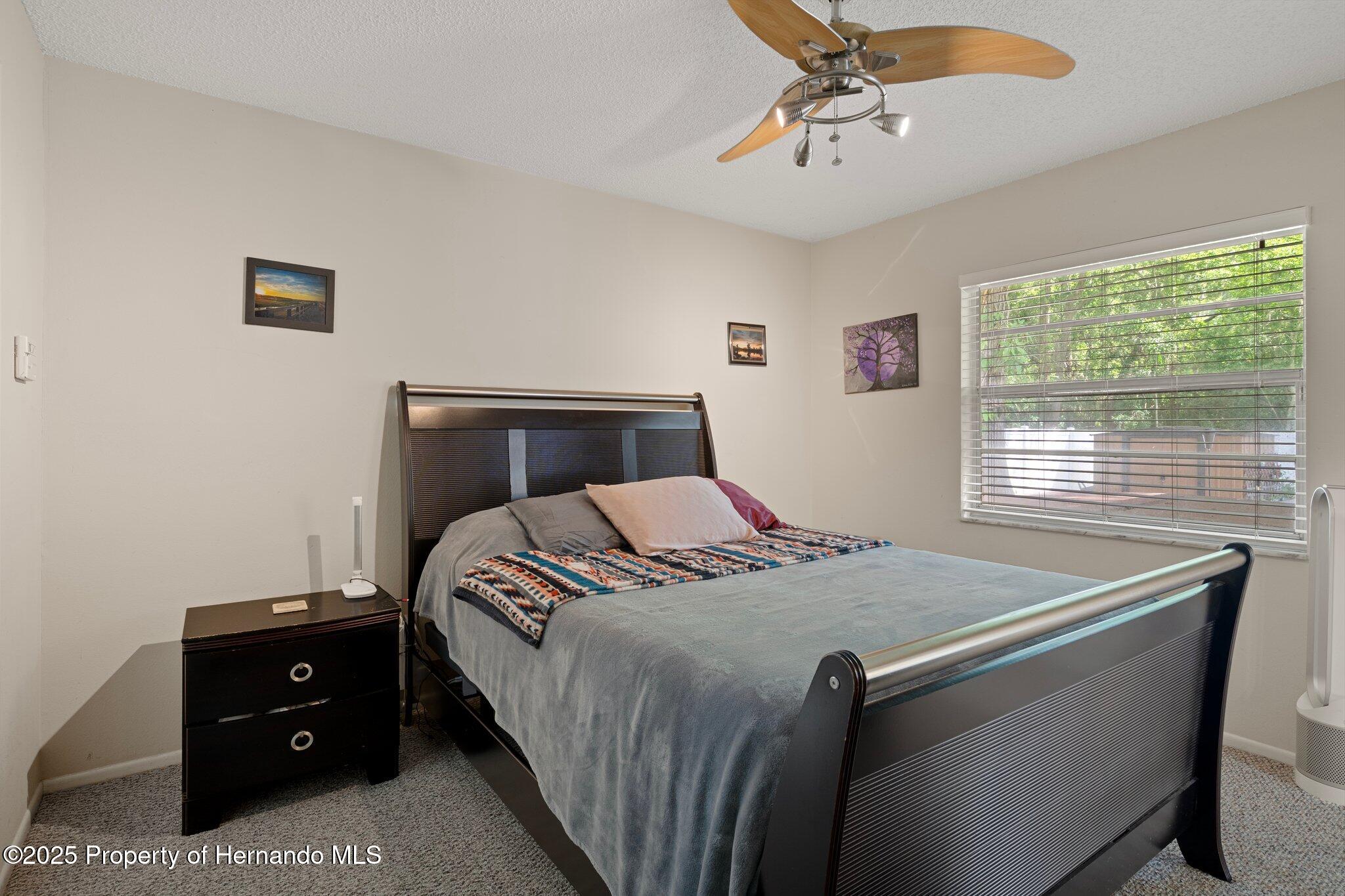 13923 Pathfinder Drive, Tampa, Florida image 26
