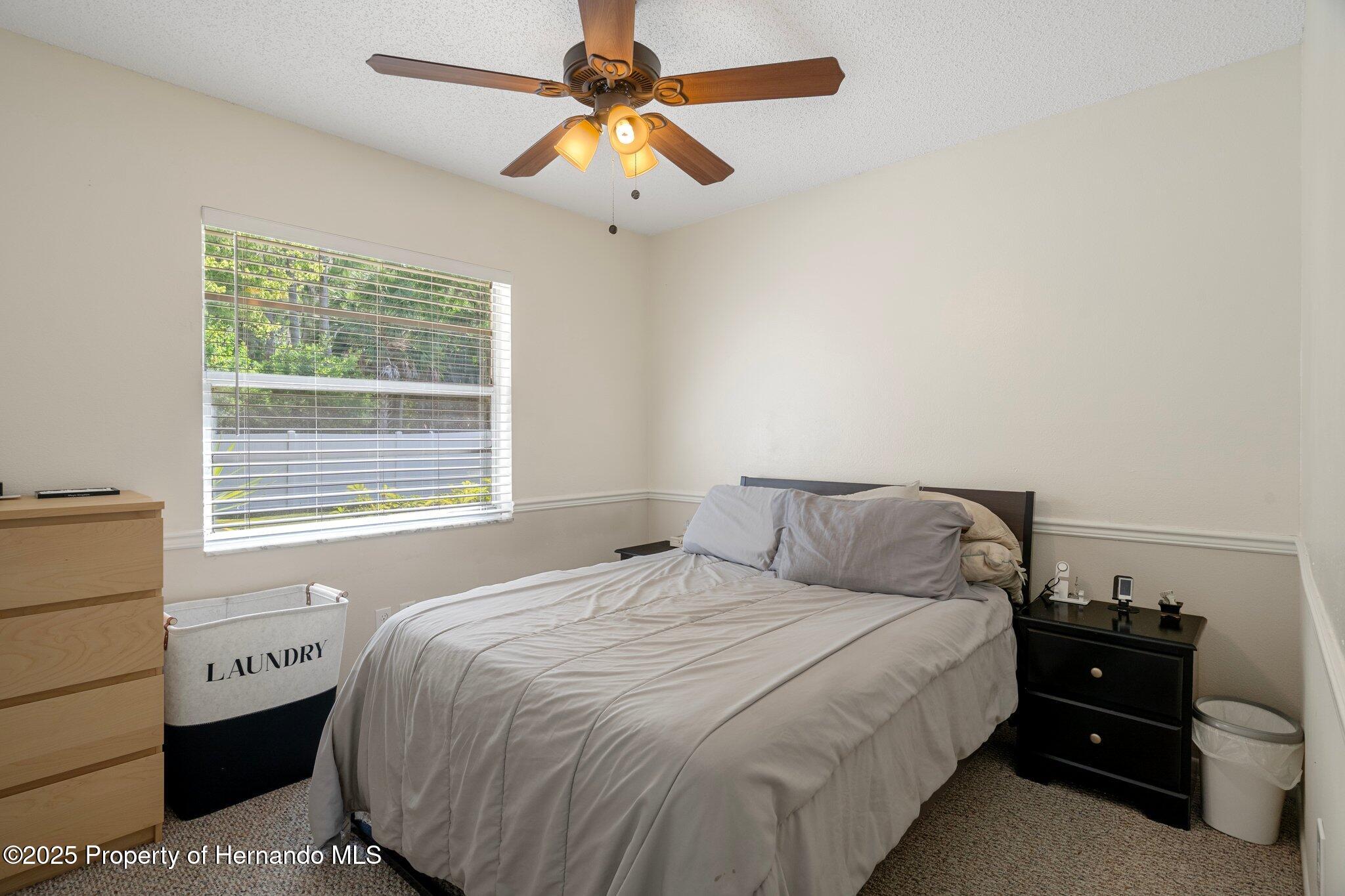 13923 Pathfinder Drive, Tampa, Florida image 32