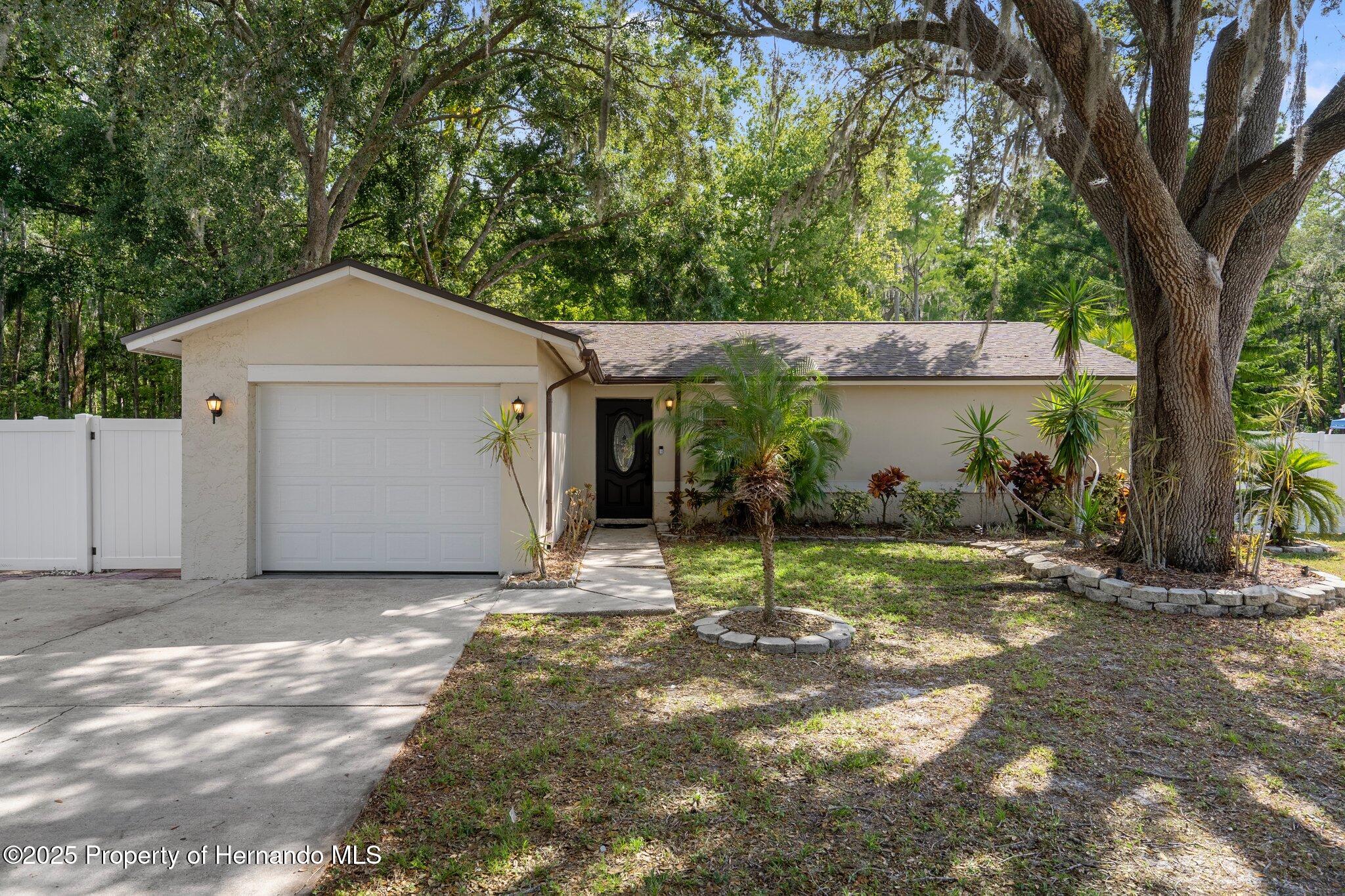 13923 Pathfinder Drive, Tampa, Florida image 2