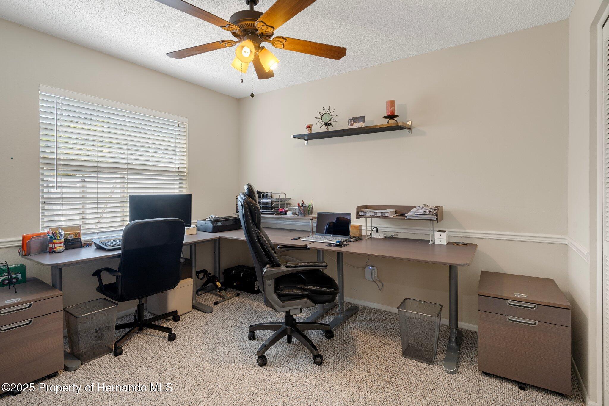 13923 Pathfinder Drive, Tampa, Florida image 36