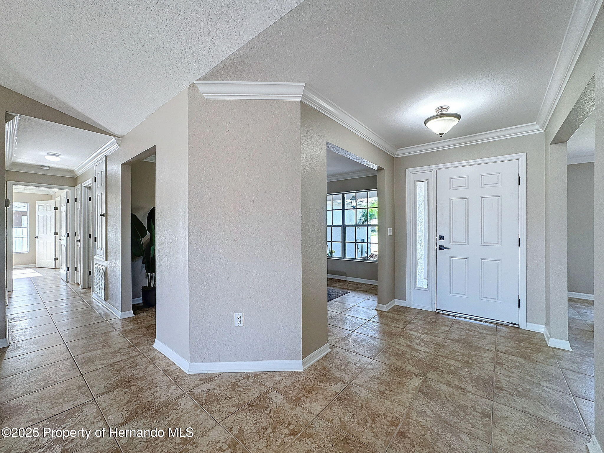 14185 Dorado Street, Spring Hill, Florida image 9