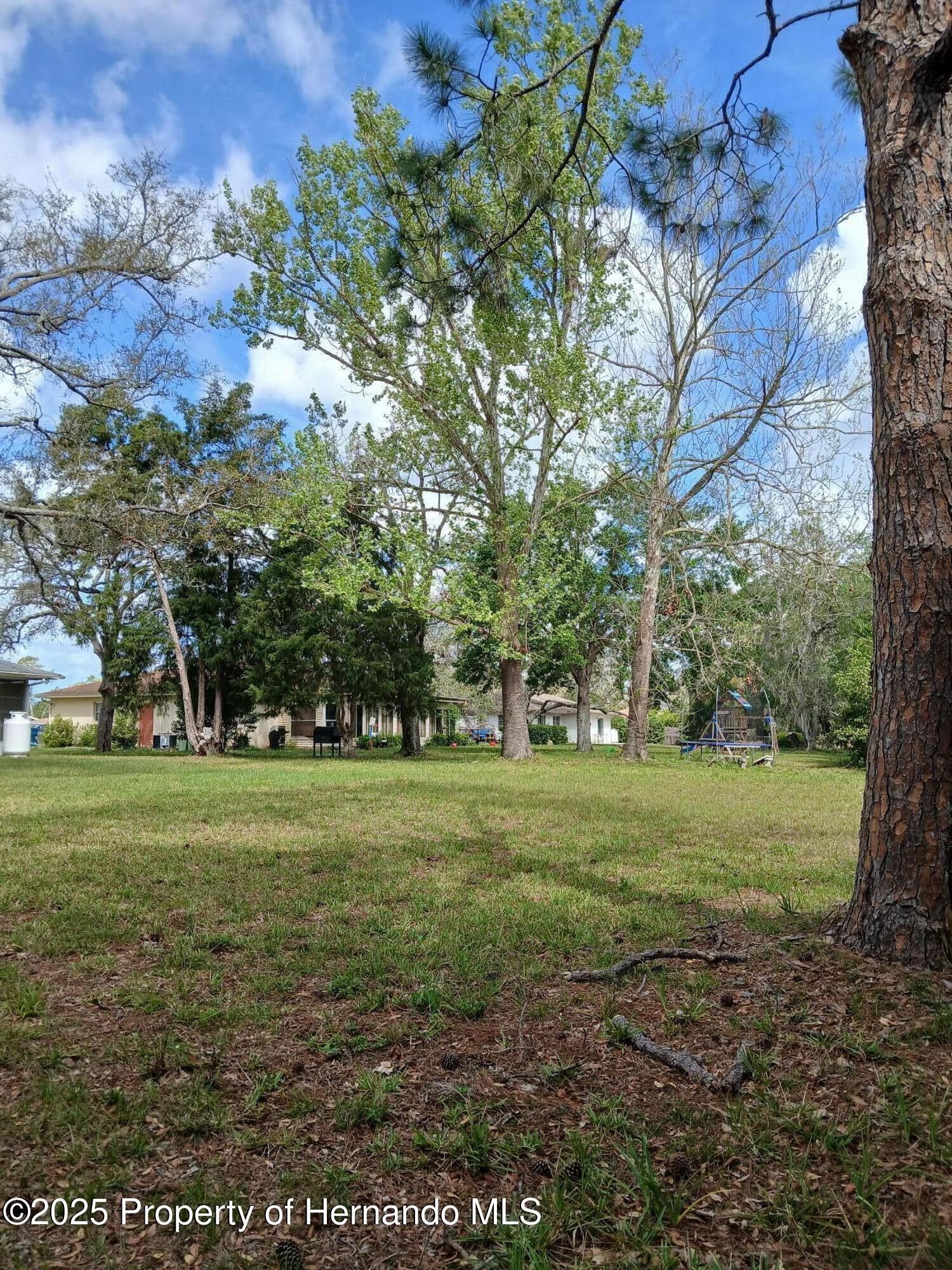 7404 Acorn Circle, Spring Hill, Florida image 39