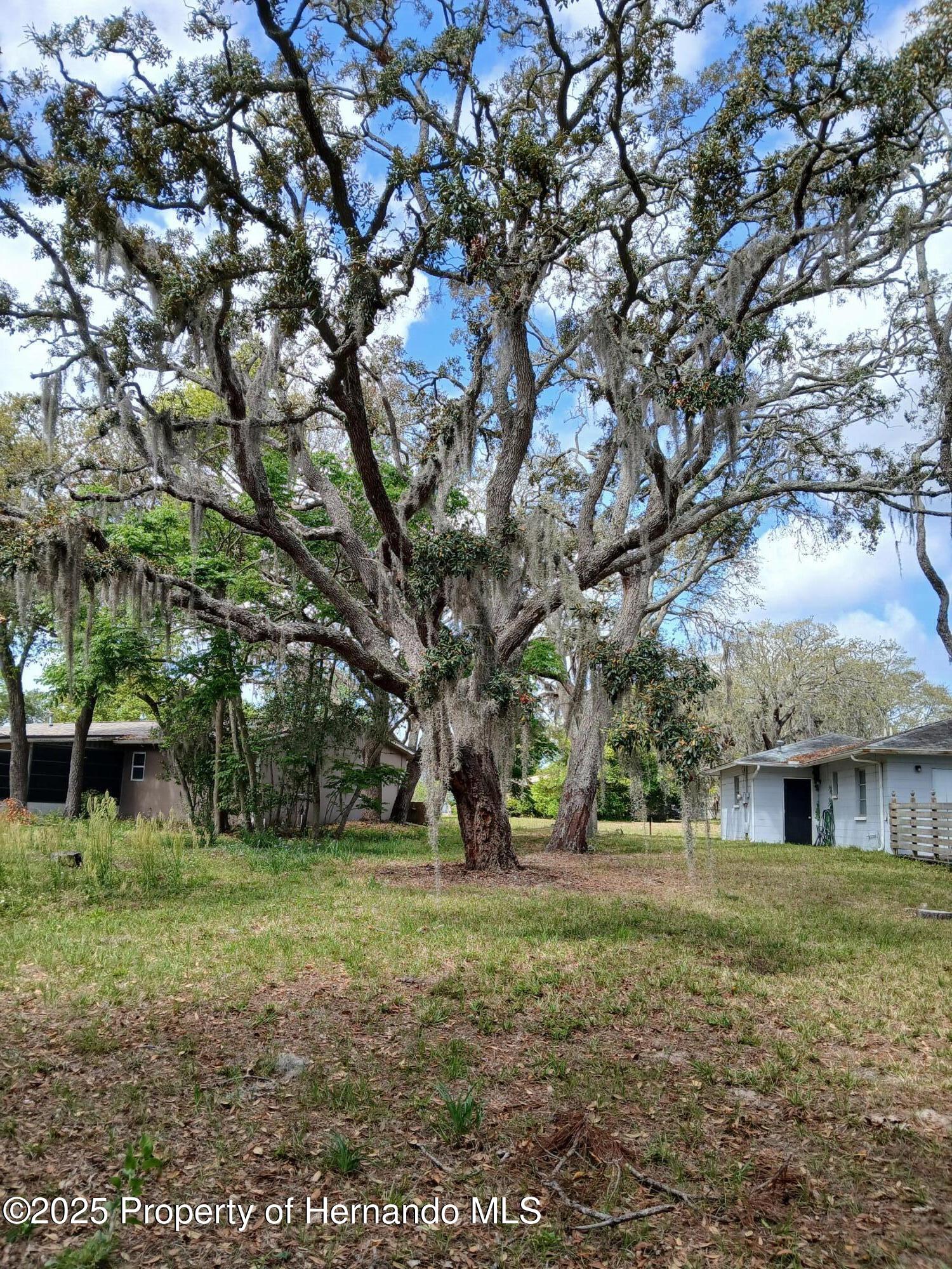 7404 Acorn Circle, Spring Hill, Florida image 42
