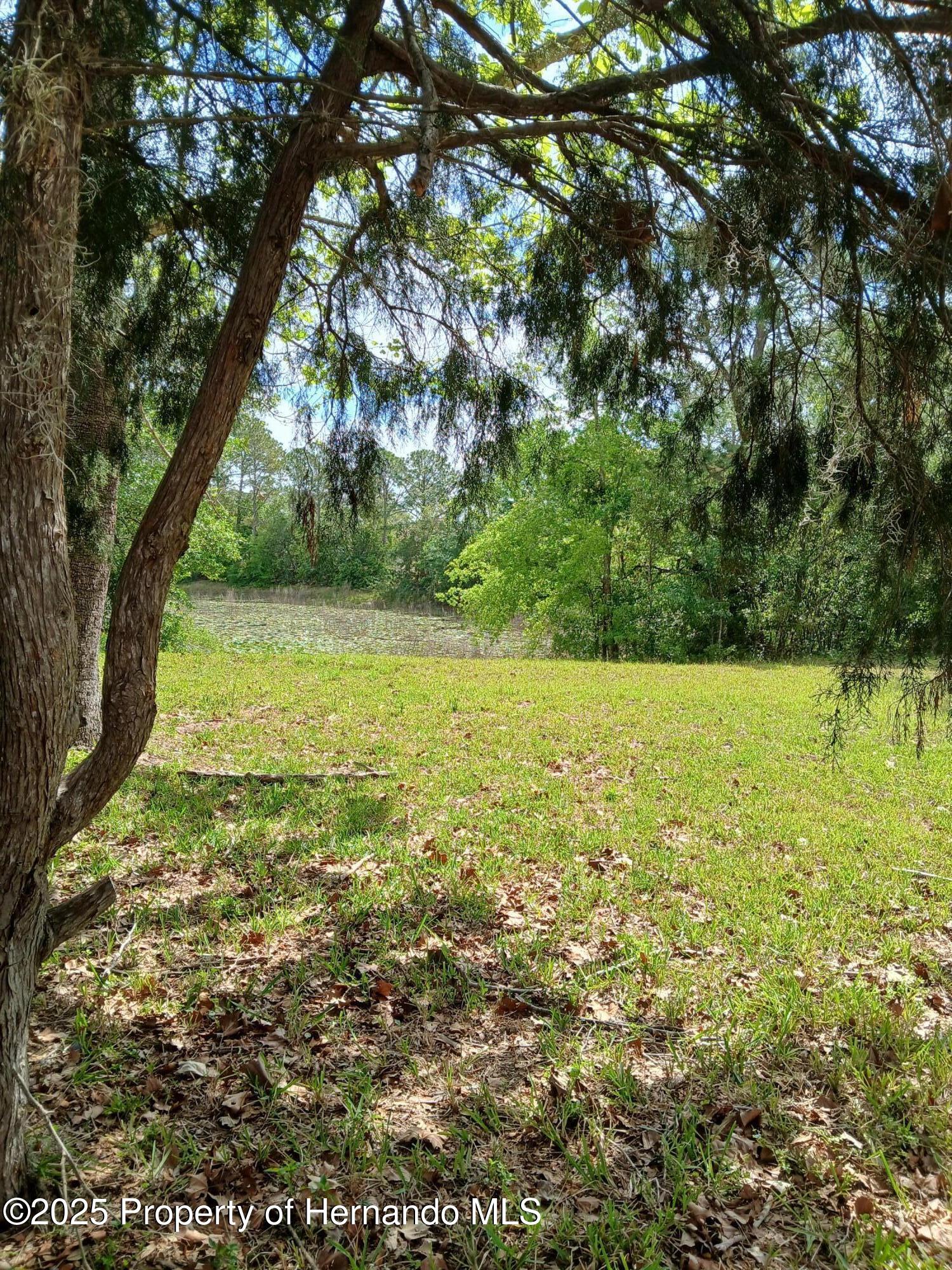 7404 Acorn Circle, Spring Hill, Florida image 41