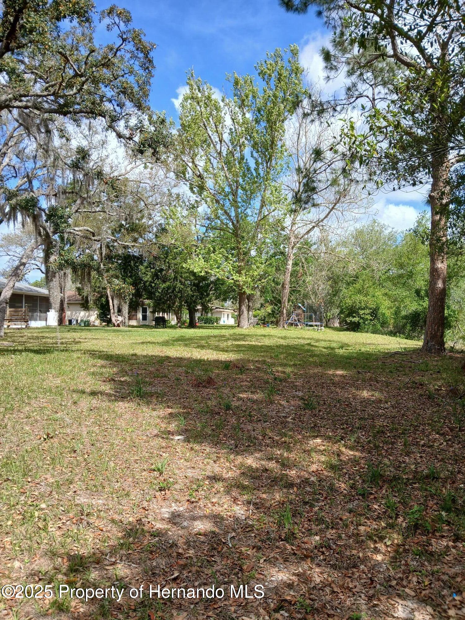7404 Acorn Circle, Spring Hill, Florida image 38