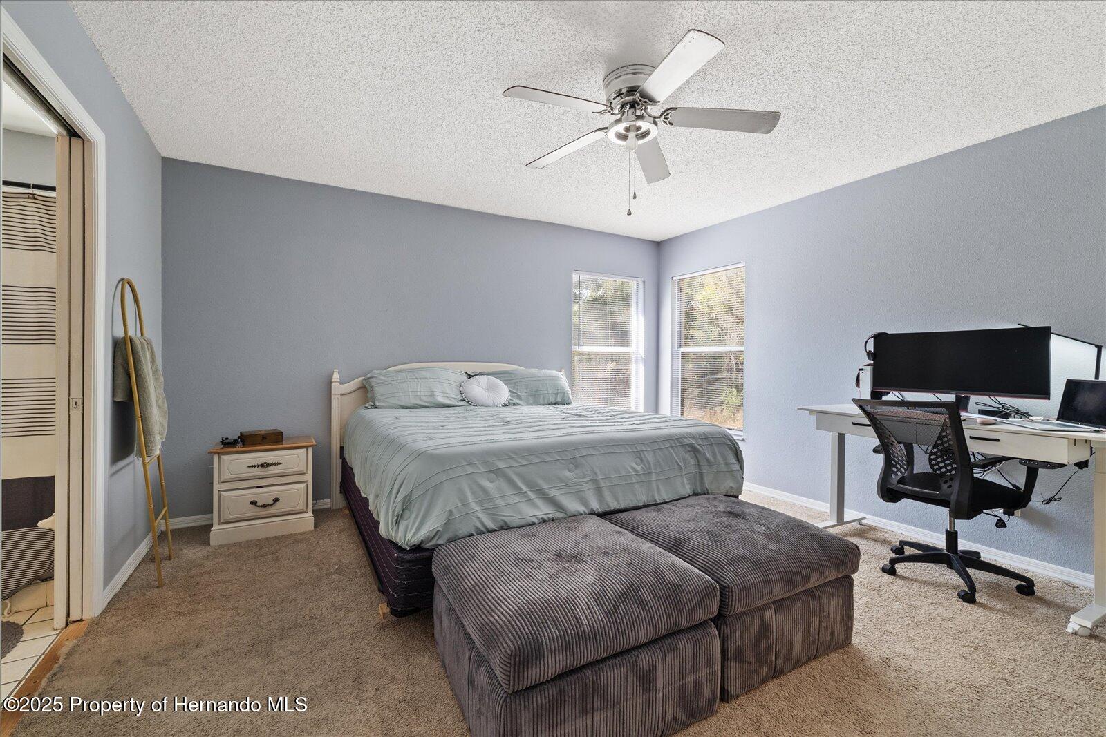 12575 Maleo Road, Weeki Wachee, Florida image 16