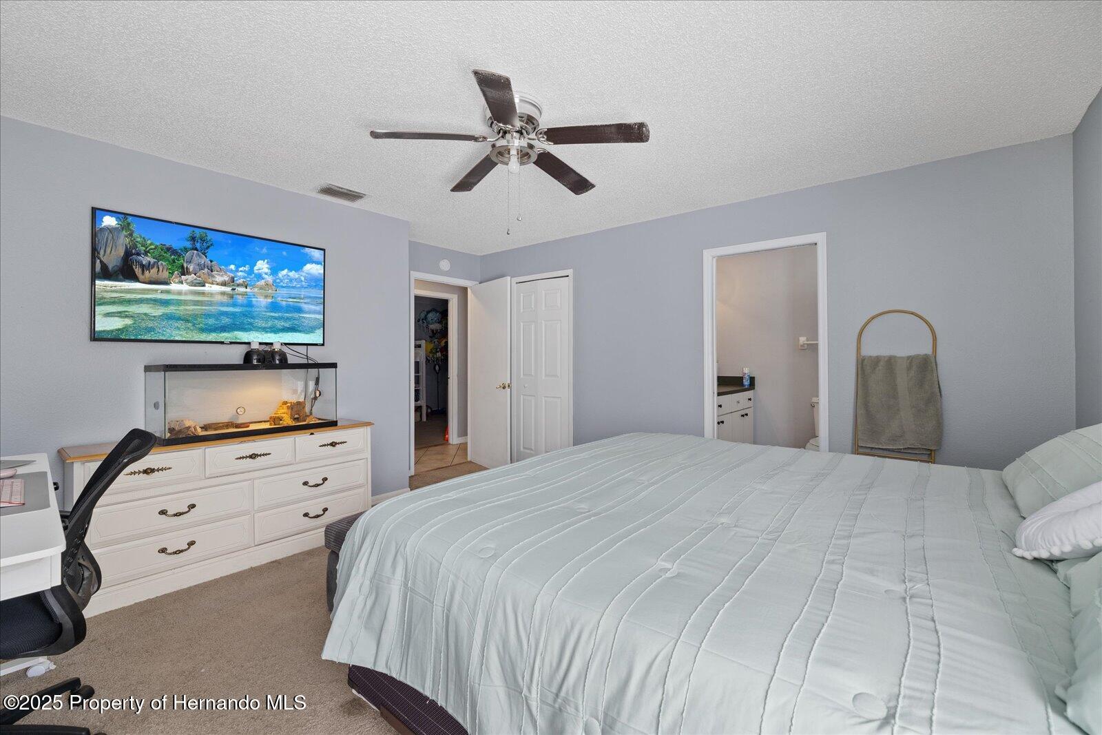 12575 Maleo Road, Weeki Wachee, Florida image 17