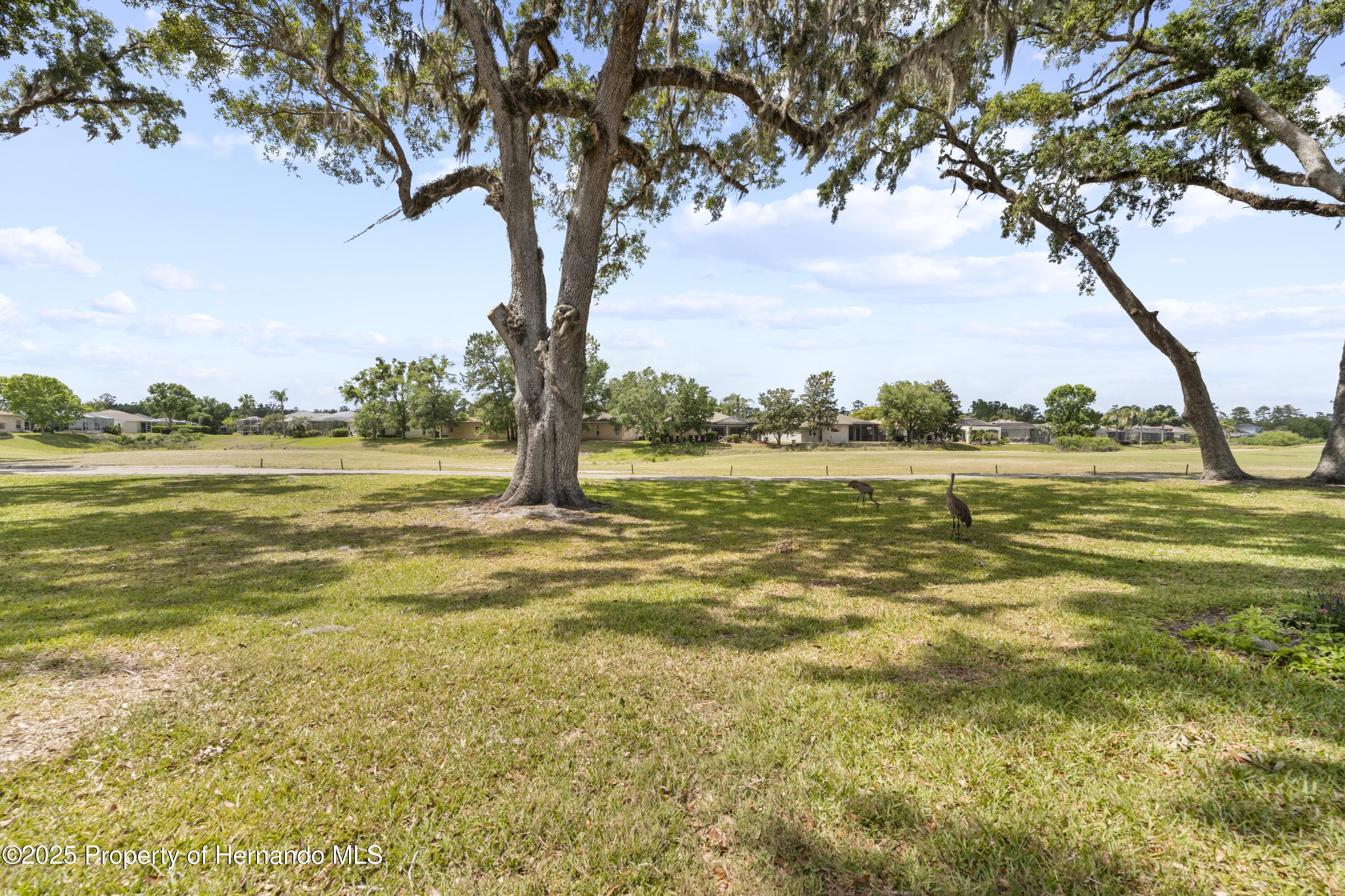 4407 Caliquen Drive, Brooksville, Florida image 29