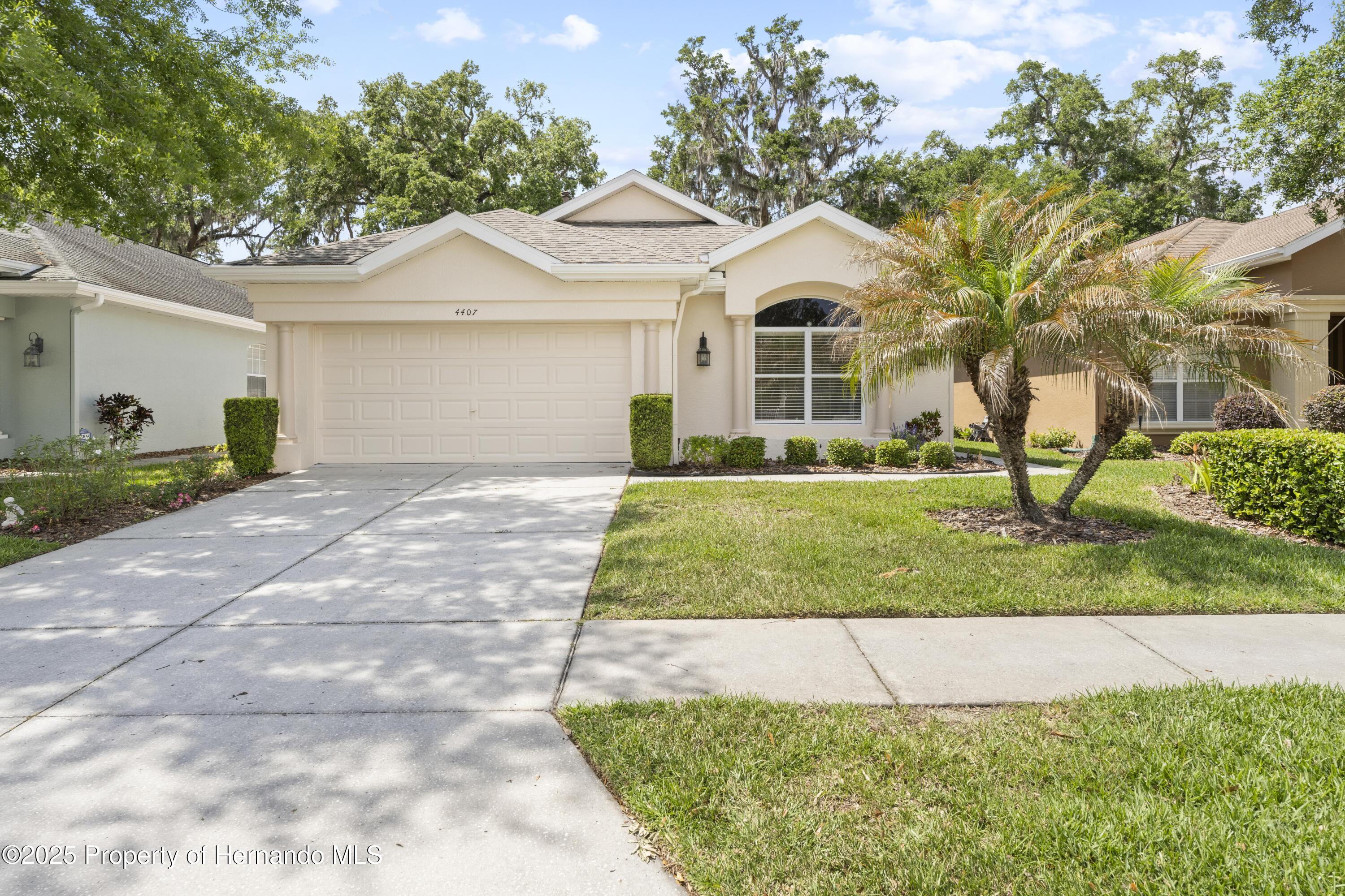 4407 Caliquen Drive, Brooksville, Florida image 6