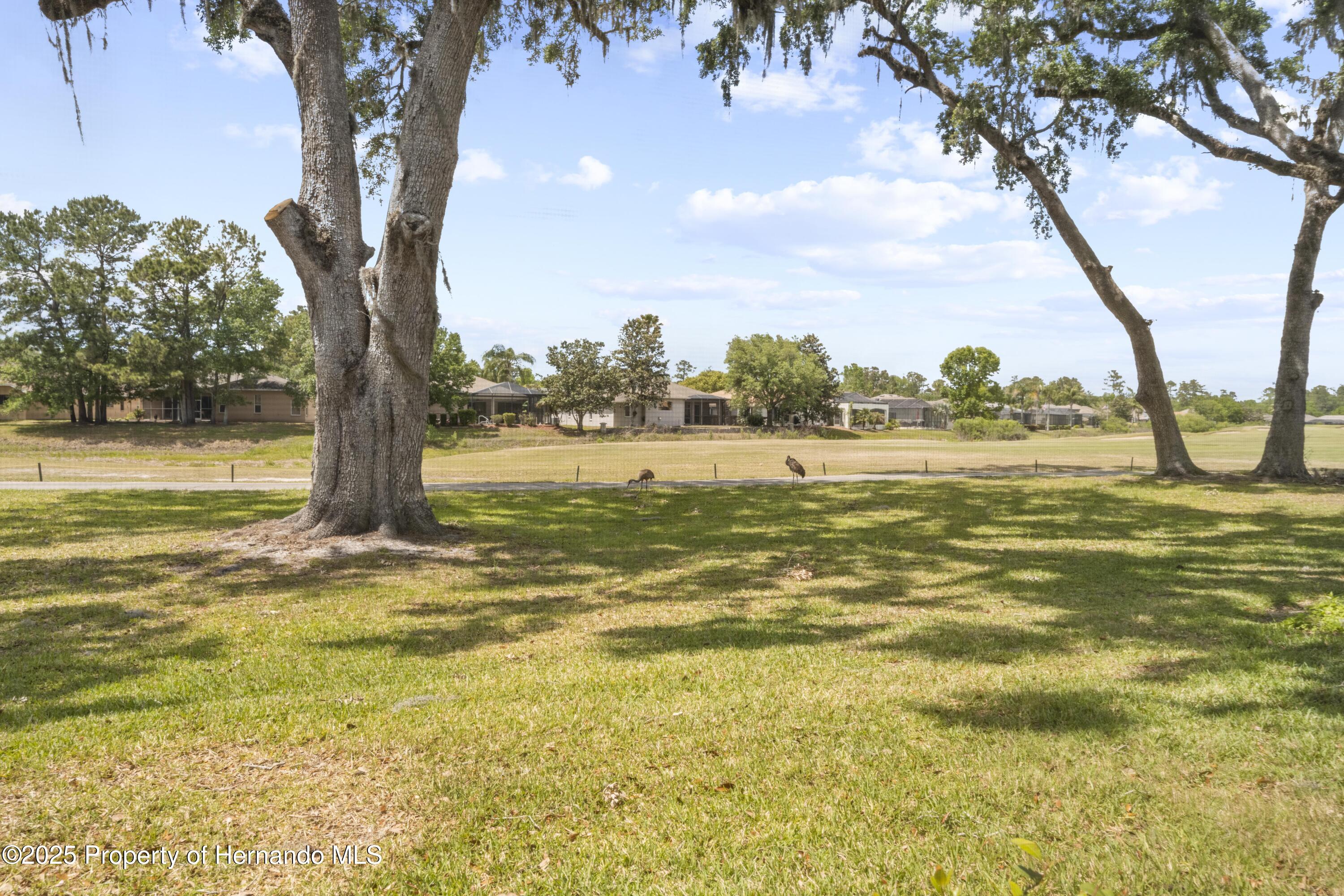 4407 Caliquen Drive, Brooksville, Florida image 31