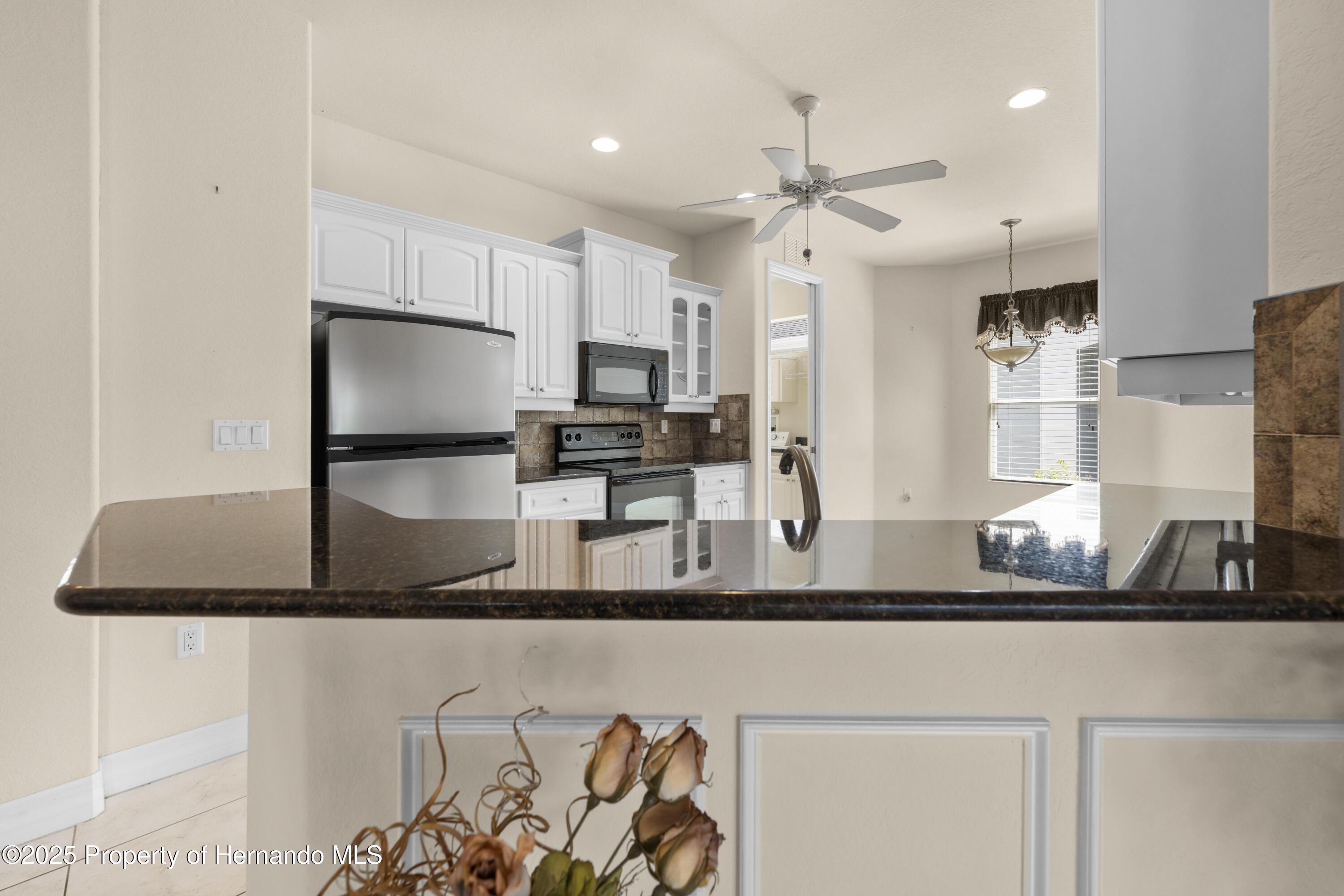 4407 Caliquen Drive, Brooksville, Florida image 48