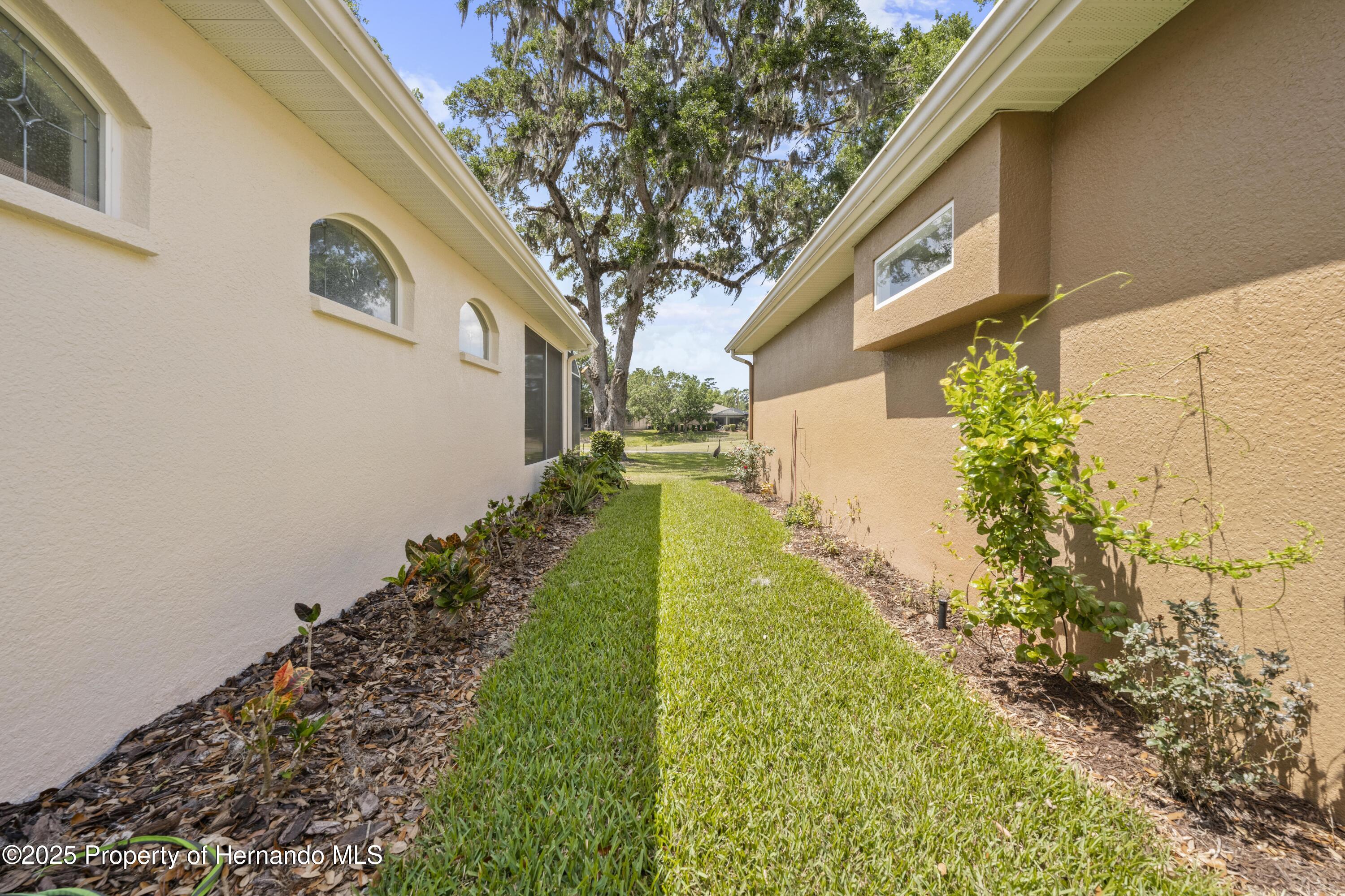 4407 Caliquen Drive, Brooksville, Florida image 8