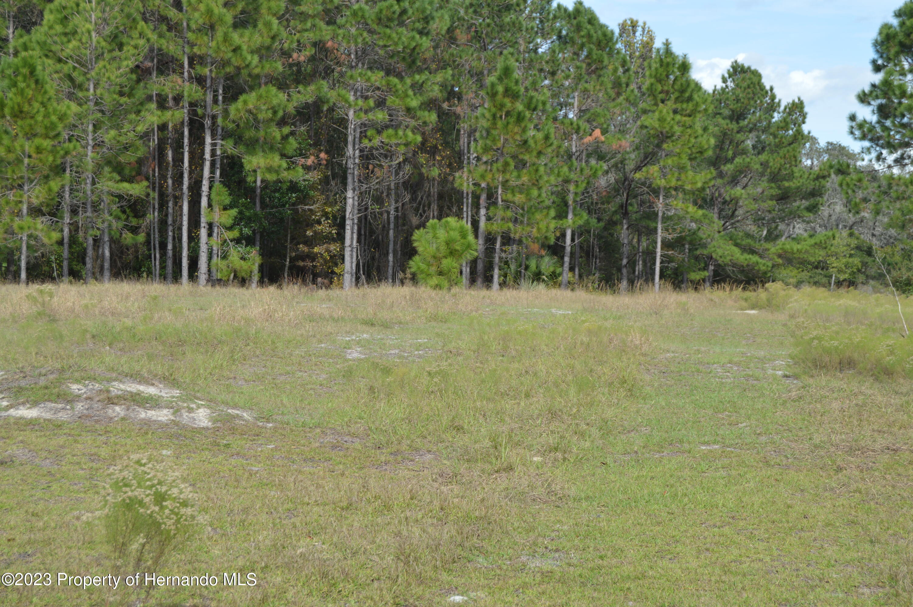 Algood Road, HERNANDO BEACH, Florida image 30