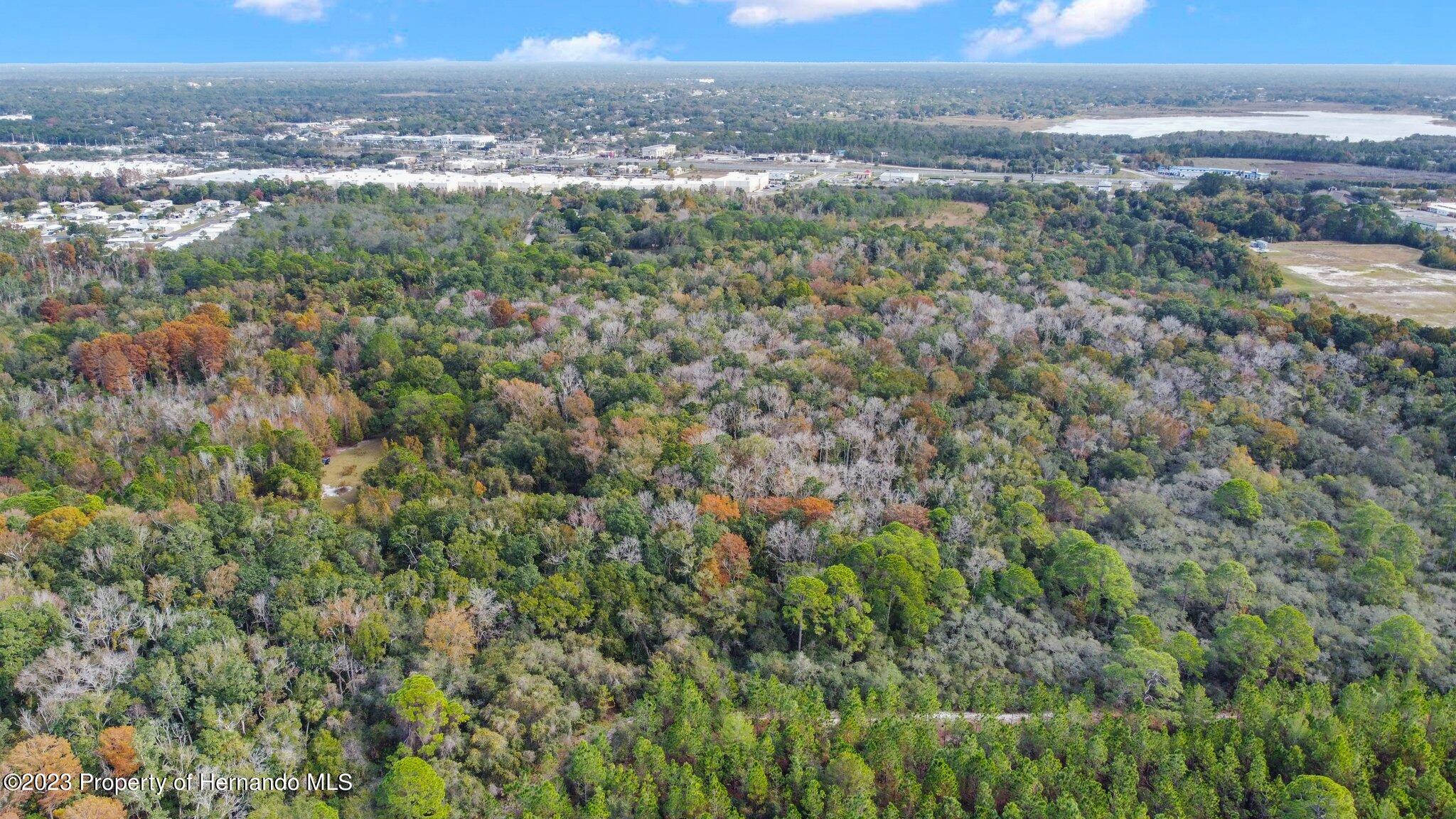 Algood Road, HERNANDO BEACH, Florida image 26