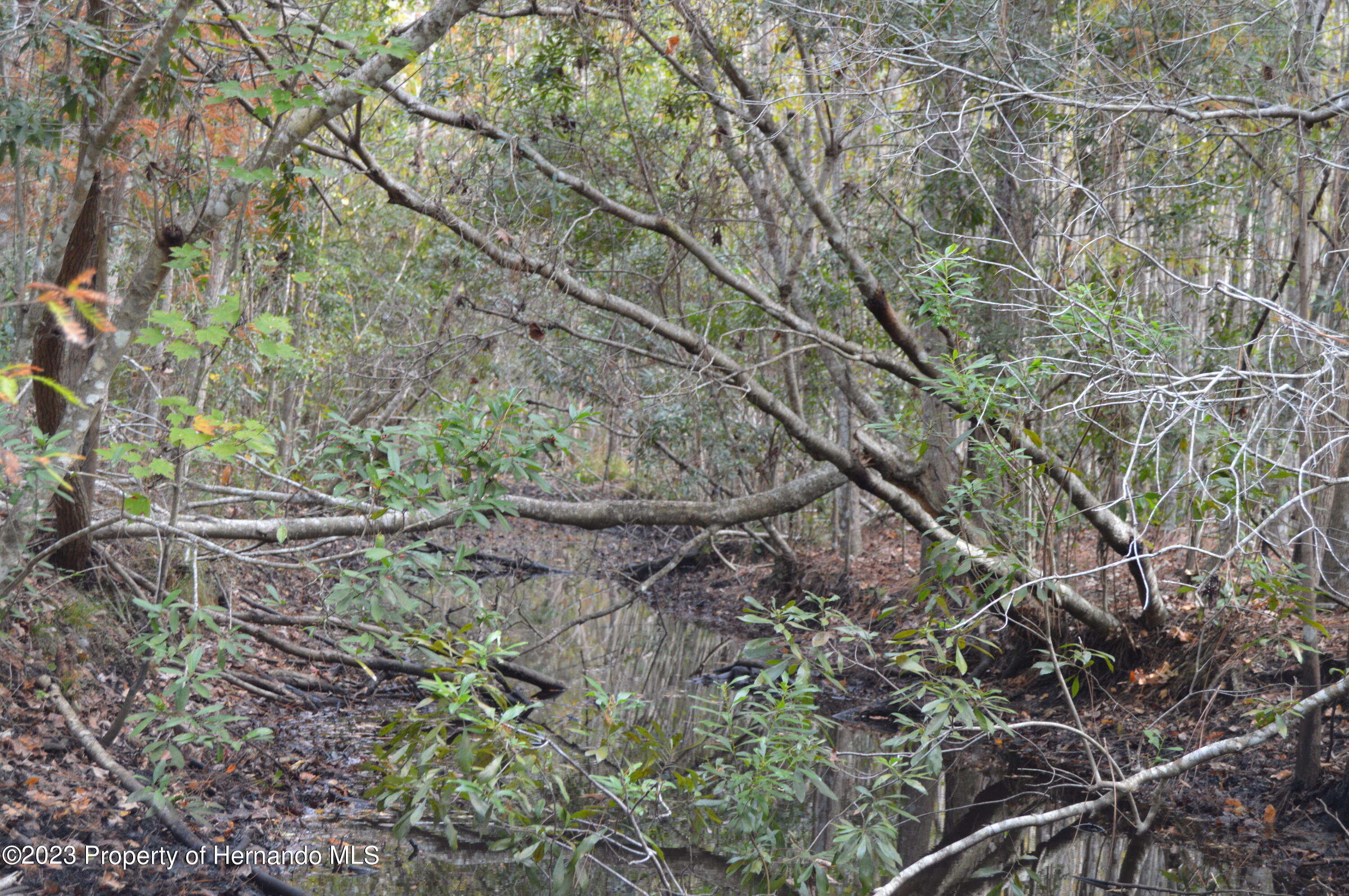 Algood Road, HERNANDO BEACH, Florida image 6