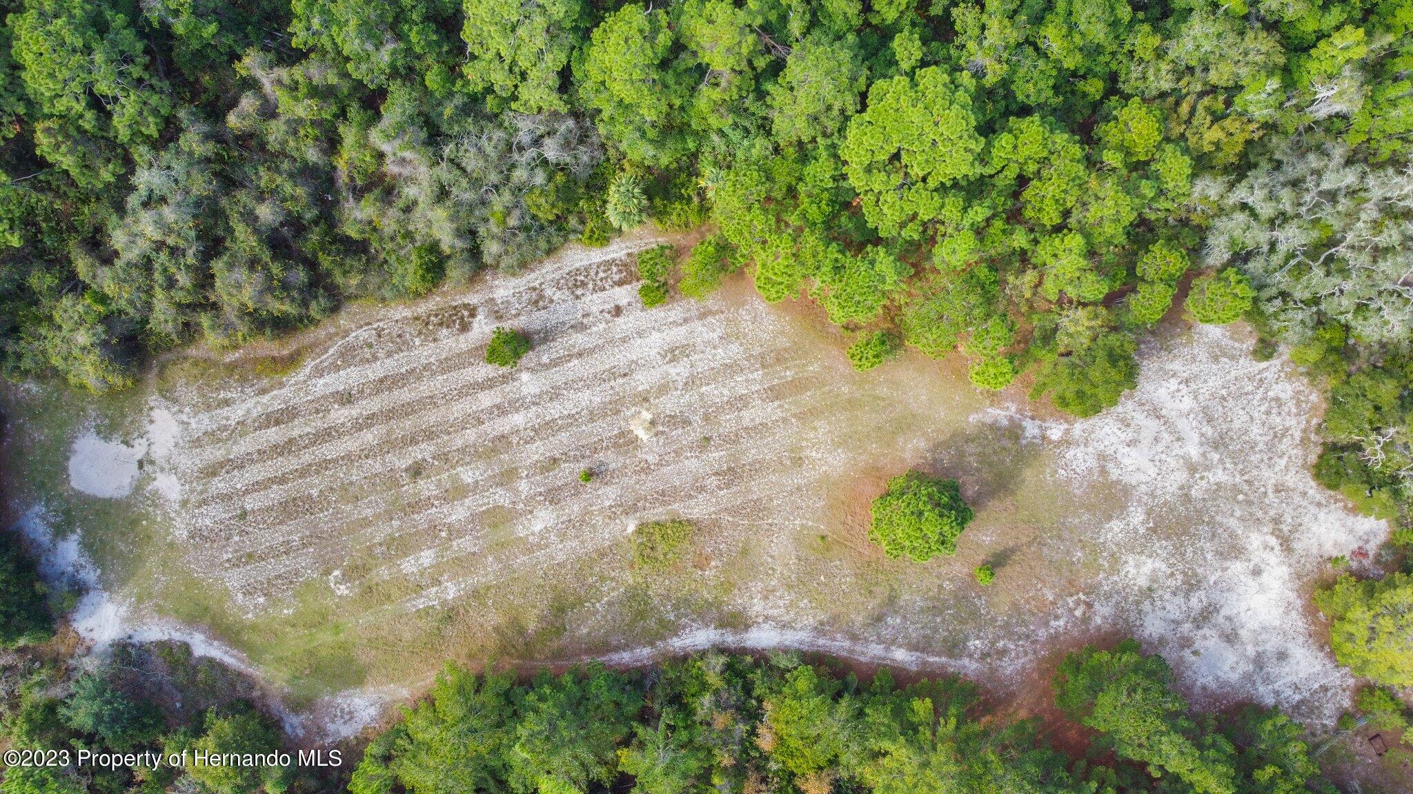 Algood Road, HERNANDO BEACH, Florida image 1