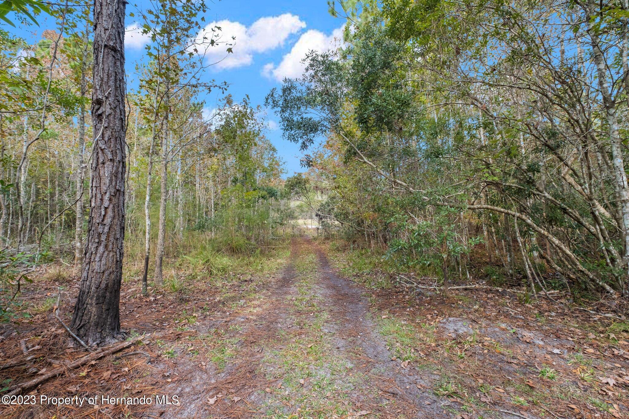 Algood Road, HERNANDO BEACH, Florida image 9