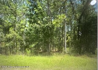 13095 Albany Road, Weeki Wachee, Florida image 1