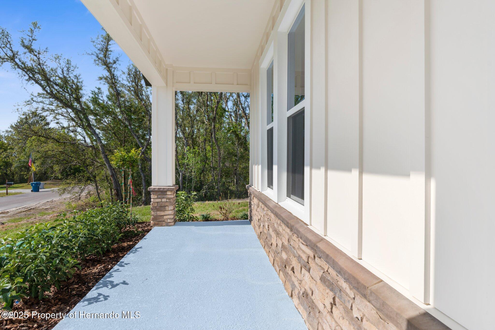 14042 Amero Lane, Spring Hill, Florida image 9