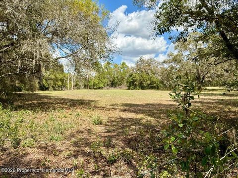 Vacant Land For Sale - 10010 Fort King Road<br/> Dade City, FL 33525