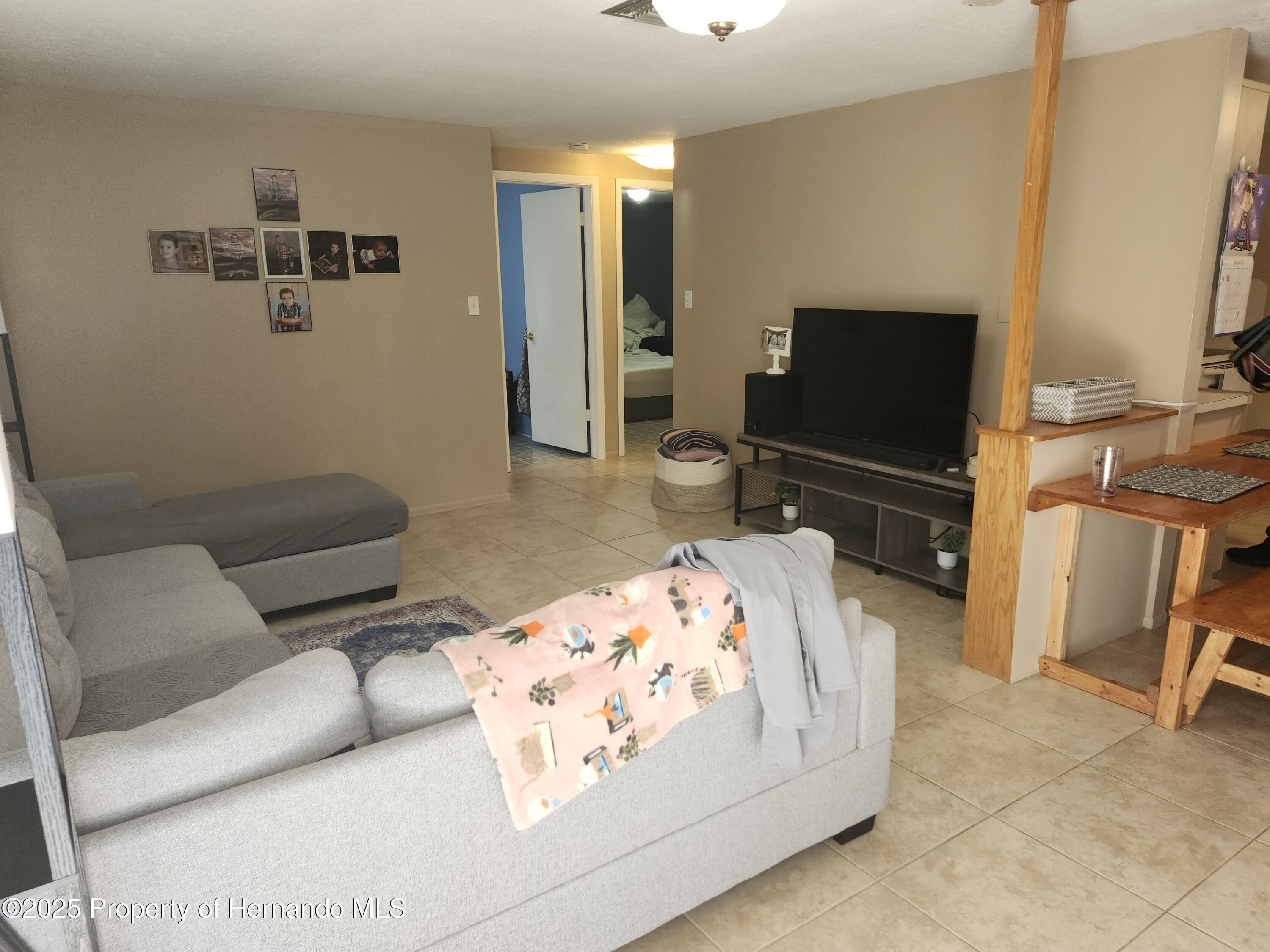 14387 Leisure Lane, Brooksville, Florida image 4