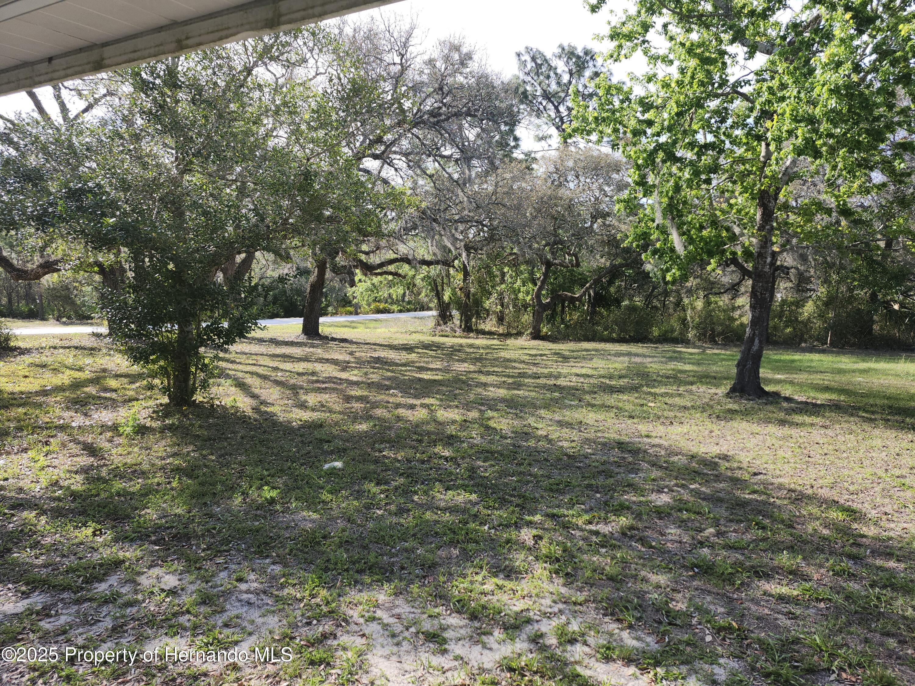 14387 Leisure Lane, Brooksville, Florida image 2