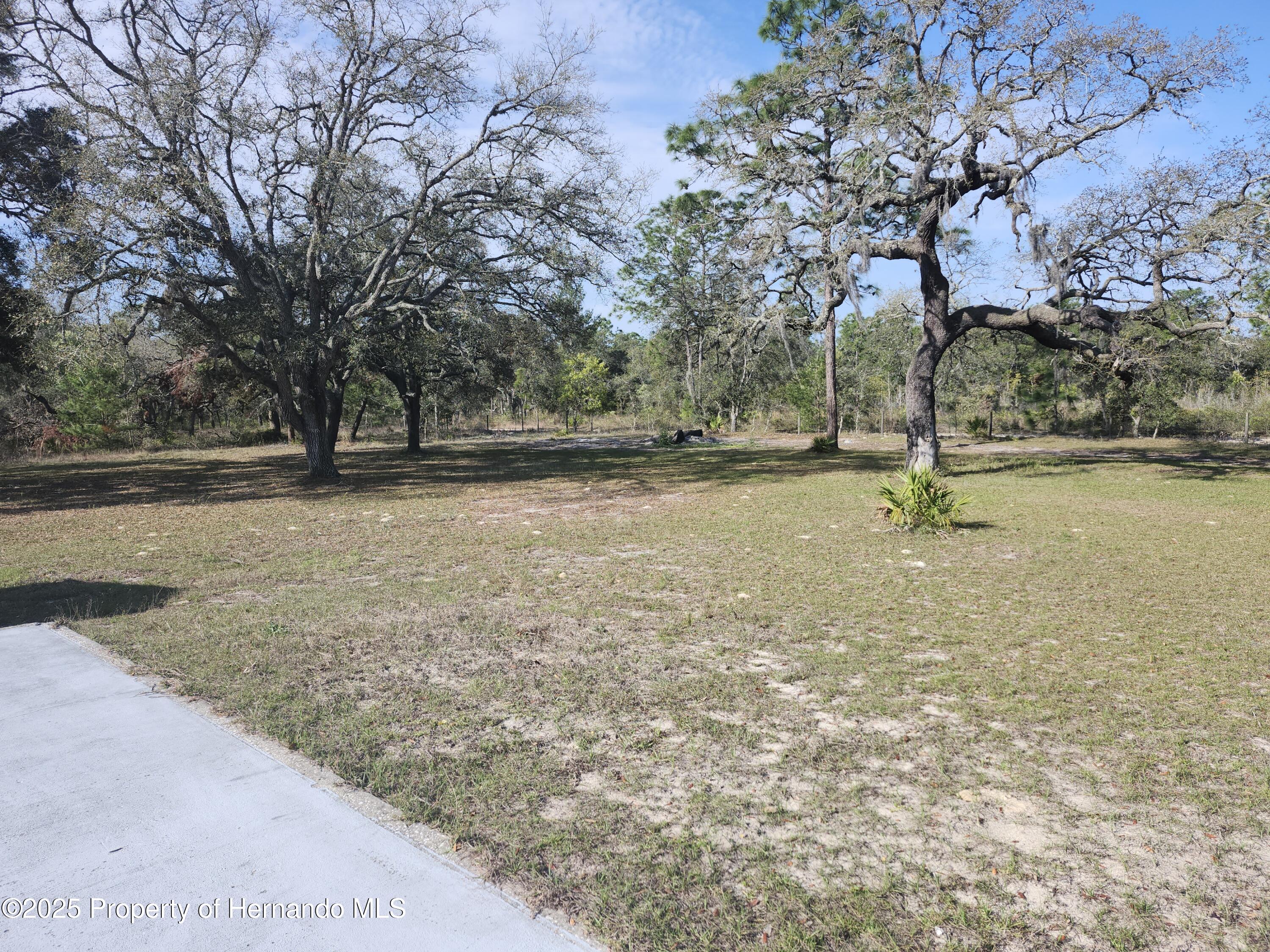14387 Leisure Lane, Brooksville, Florida image 7